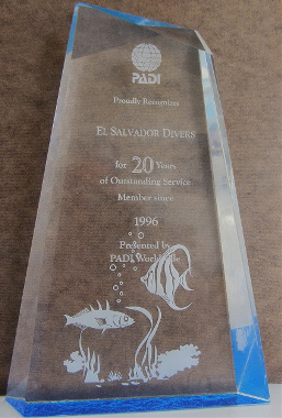 PADI 20 years